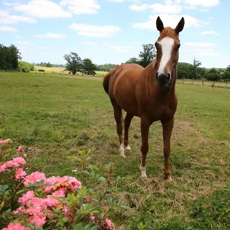 D'hote Courtoux 3* Saint-Denis-sur-Sarthon