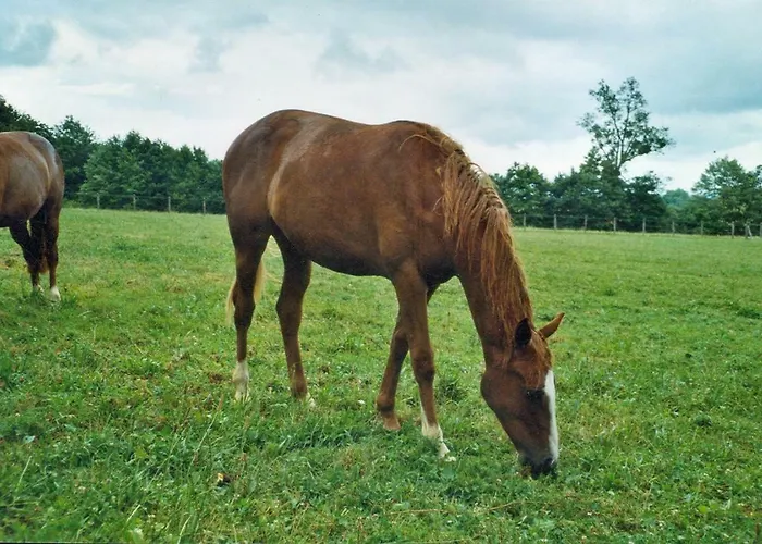D'hote Courtoux Penzion
