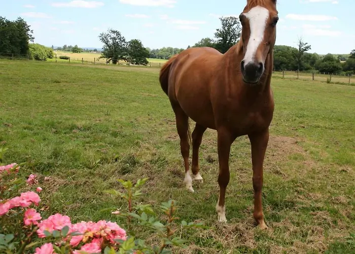 D'hote Courtoux 3* Saint-Denis-sur-Sarthon